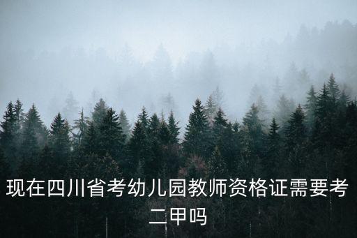 現(xiàn)在四川省考幼兒園教師資格證需要考二甲嗎