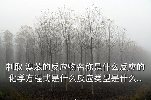 制取 溴苯的反應物名稱是什么反應的化學方程式是什么反應類型是什么...