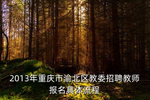 2013年重慶市渝北區(qū)教委招聘教師報(bào)名具體流程