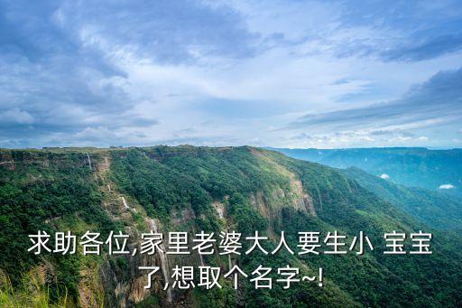 求助各位,家里老婆大人要生小 寶寶了,想取個(gè)名字~!