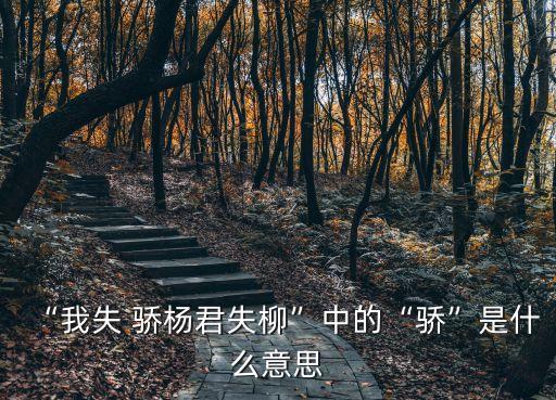 驕楊,我輸了驕楊君輸了柳深層含義是什么?