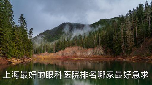 上海最好的眼科醫院排名哪家最好急求