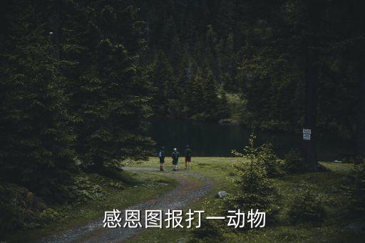  感恩圖報打一動物