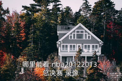 nba總決賽錄像,美國華爾街股市略微下跌
