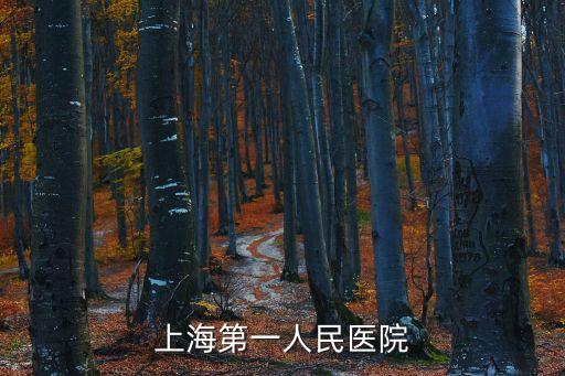 上海第一人民醫(yī)院