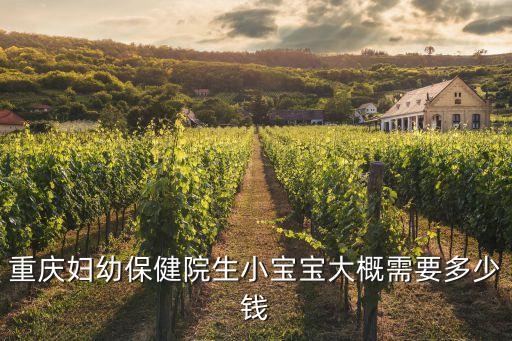 重慶婦幼保健院生小寶寶大概需要多少錢