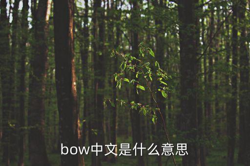 bow中文是什么意思