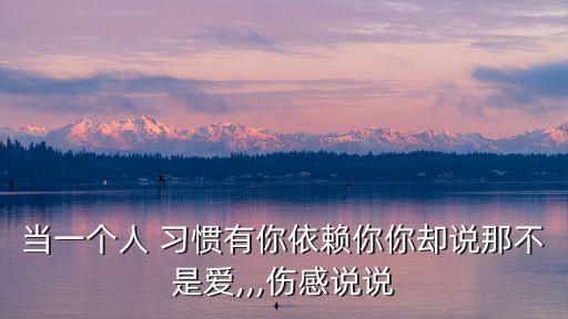 當一個人 習慣有你依賴你你卻說那不是愛,,,傷感說說
