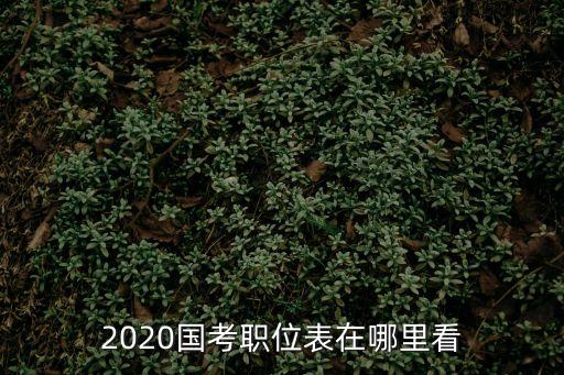 2020國考職位表在哪里看