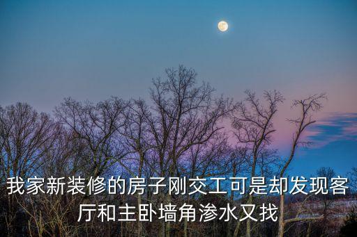 我家新裝修的房子剛交工可是卻發現客廳和主臥墻角滲水又找