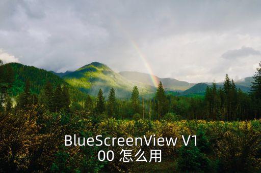 BlueScreenView V100 怎么用
