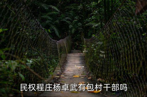 民權(quán)程莊楊卓武有包村干部嗎