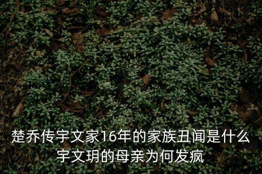 宇文玥母親發瘋的原因，楚喬傳宇文家16年的家族丑聞是什么宇文玥的母親為何發瘋