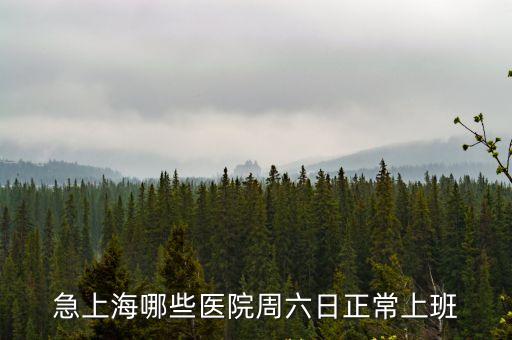 急上海哪些醫院周六日正常上班