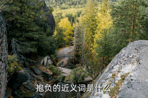 抱負的近義詞是什么