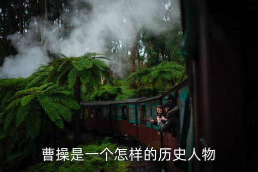 曹操是一個怎樣的歷史人物