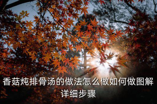 香菇燉排骨湯的做法怎么做如何做圖解詳細步驟