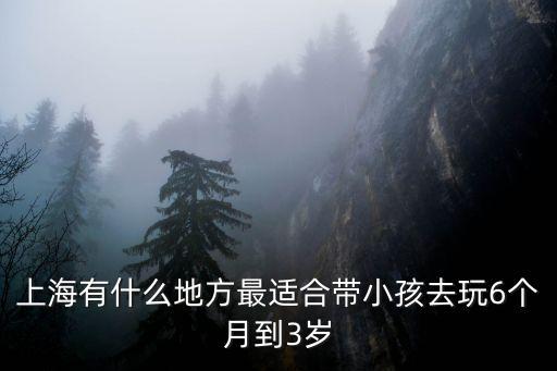 上海有什么地方最適合帶小孩去玩6個月到3歲