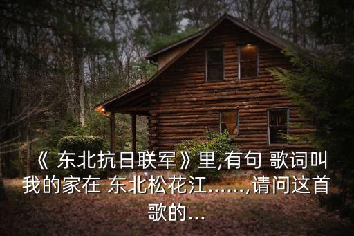 《 東北抗日聯軍》里,有句 歌詞叫我的家在 東北松花江……,請問這首歌的...
