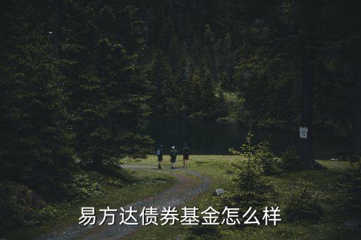 易方達債券基金怎么樣