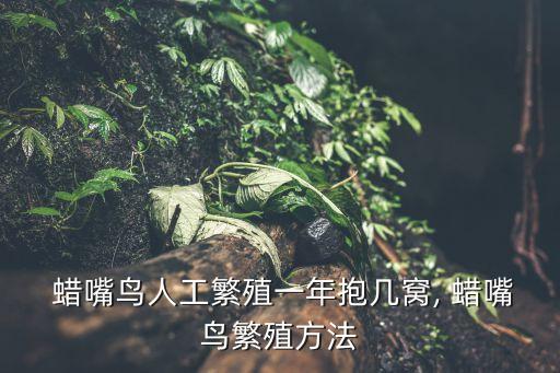  蠟嘴鳥人工繁殖一年抱幾窩, 蠟嘴鳥繁殖方法