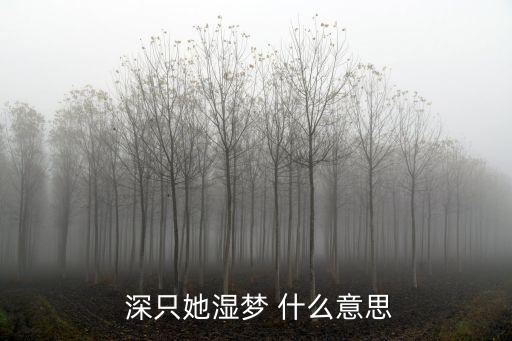  深只她濕夢 什么意思