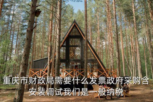 重慶市財政局需要什么發(fā)票政府采購含安裝調(diào)試我們是一般納稅