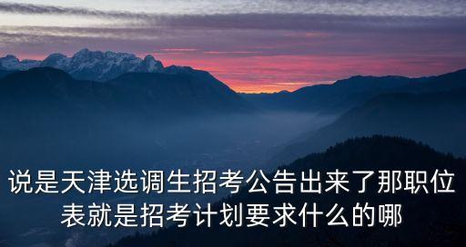 說是天津選調(diào)生招考公告出來了那職位表就是招考計劃要求什么的哪