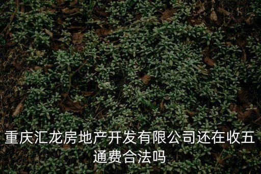 重慶市南川區(qū)匯龍集團(tuán)有限公司，有知道匯龍公司是干什么的嗎知道的請說一下