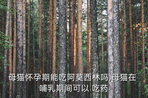 母貓懷孕期能吃阿莫西林嗎,母貓在 哺乳期間可以 吃藥