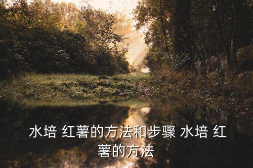  水培 紅薯的方法和步驟 水培 紅薯的方法