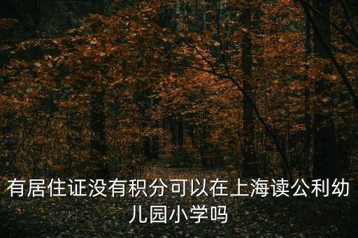 有居住證沒(méi)有積分可以在上海讀公利幼兒園小學(xué)嗎