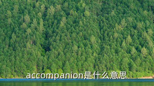 accompanion是什么意思