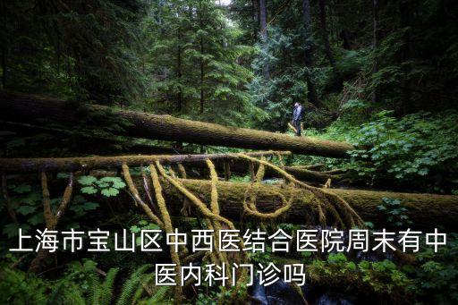 上海市寶山區中西醫結合醫院周末有中醫內科門診嗎