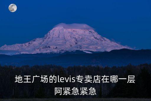 地王廣場的levis專賣店在哪一層阿緊急緊急