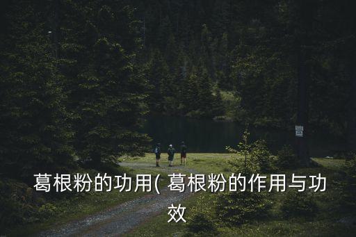  葛根粉的功用( 葛根粉的作用與功效