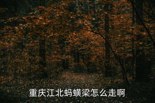重慶江北螞蟥梁怎么走啊