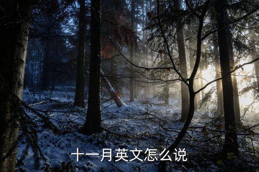 十一月英文怎么說