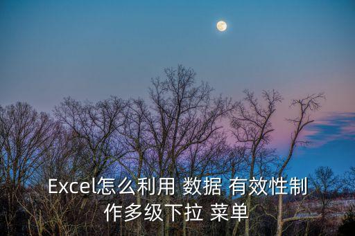Excel怎么利用 數據 有效性制作多級下拉 菜單