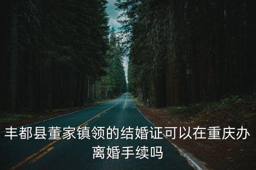 重慶市問政平臺豐都縣董家鎮，豐都縣董家鎮領的結婚證可以在重慶辦離婚手續嗎
