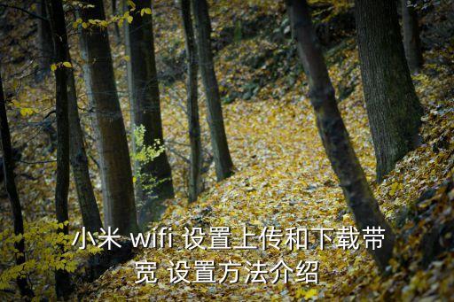  小米 wifi 設置上傳和下載帶寬 設置方法介紹