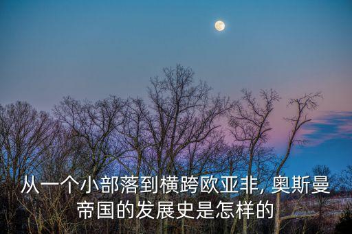 奧斯曼人,《天啟》游戲前60年拜占庭王室后裔獲圣殿騎士幫助