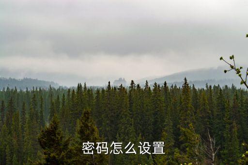 密碼怎么設(shè)置