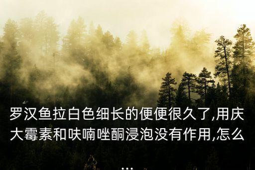 羅漢魚拉白色細長的便便很久了,用慶大霉素和呋喃唑酮浸泡沒有作用,怎么...