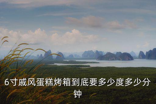 6寸戚風蛋糕烤箱到底要多少度多少分鐘