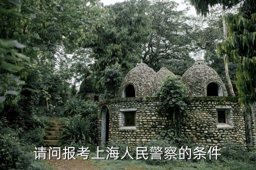 報考上海警察需要什么條件具備，上海考警察有什么要求