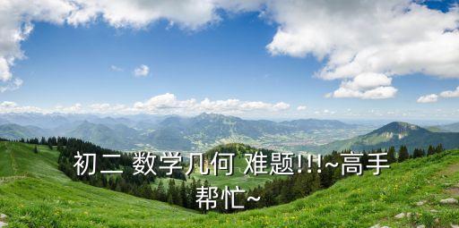 初二數(shù)學難題,直角三角形的解析