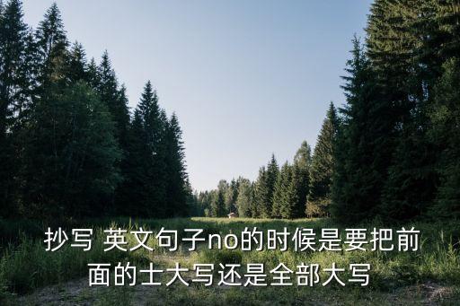  抄寫(xiě) 英文句子no的時(shí)候是要把前面的士大寫(xiě)還是全部大寫(xiě)