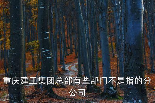 重慶建工集團總部有些部門不是指的分公司