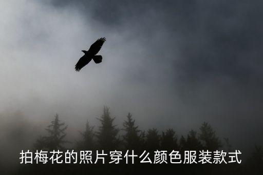拍梅花的照片穿什么顏色服裝款式